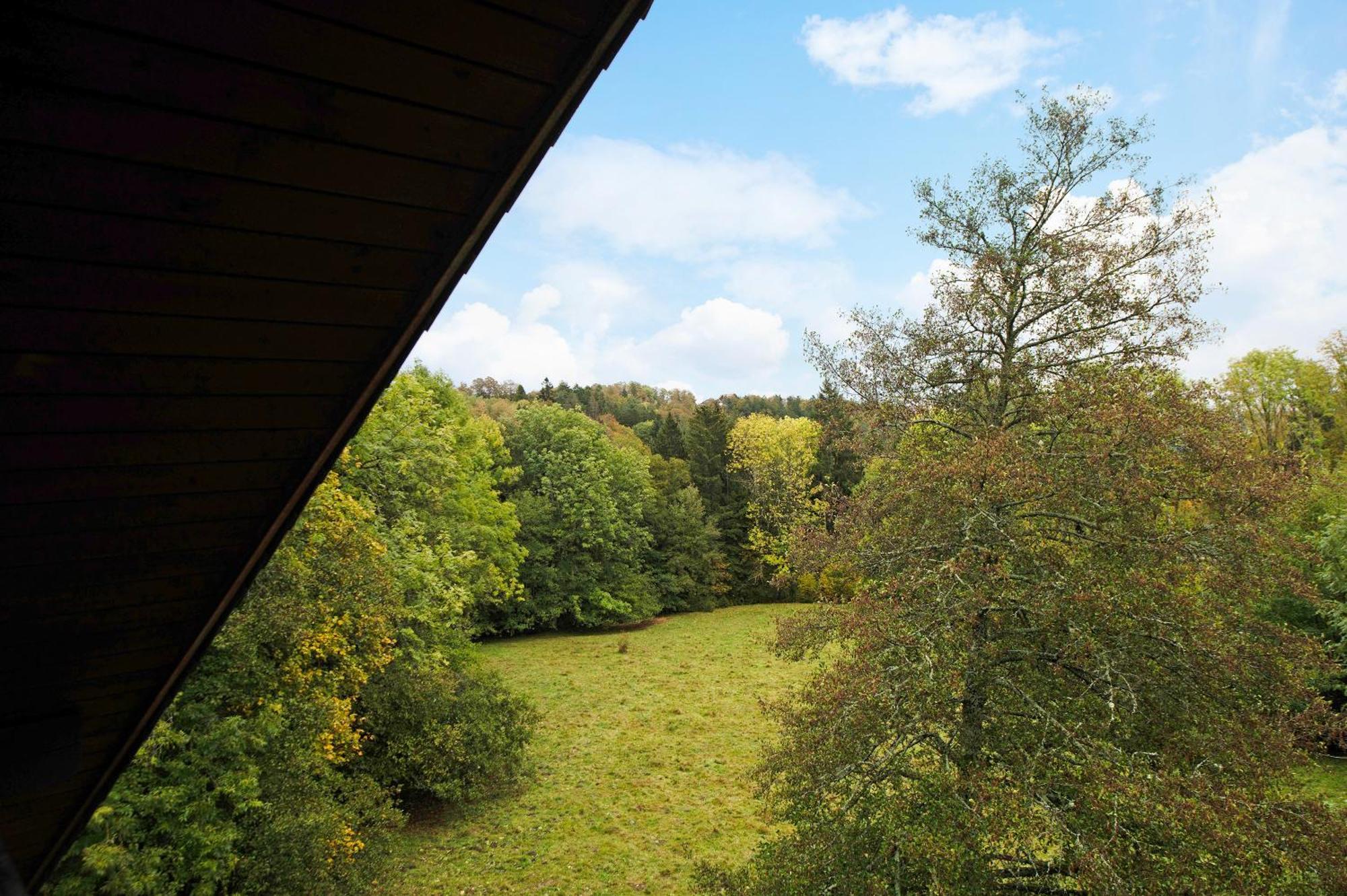 Landhaus Am Schmiedebach Wittenschwand Eksteriør billede