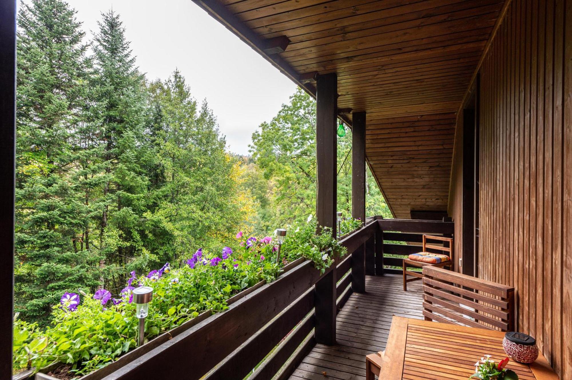 Landhaus Am Schmiedebach Wittenschwand Eksteriør billede
