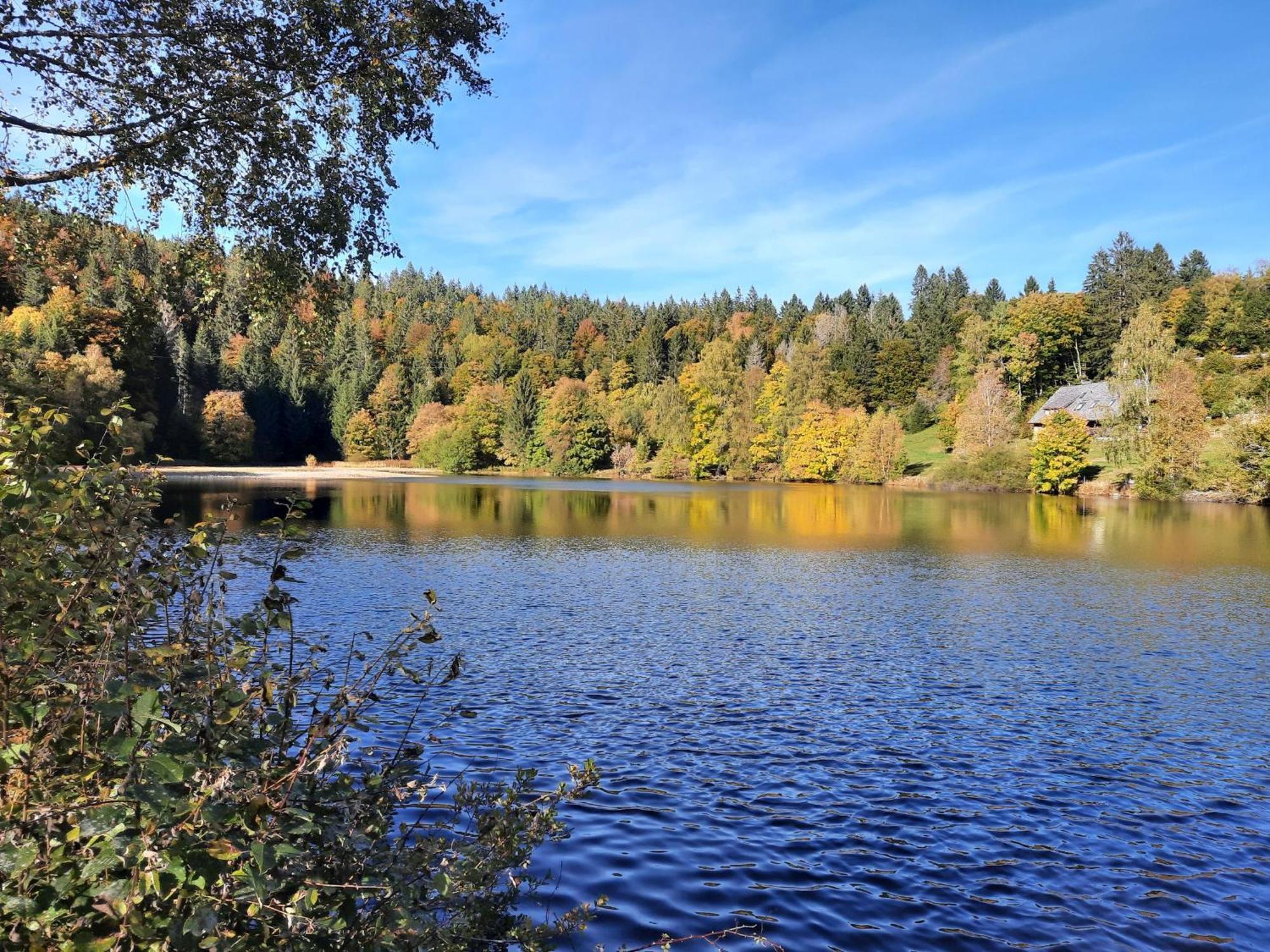 Landhaus Am Schmiedebach Wittenschwand Eksteriør billede